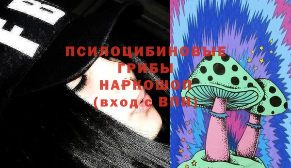 сатива Баксан