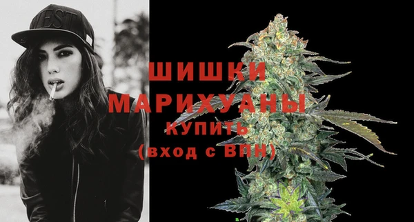 сатива Баксан