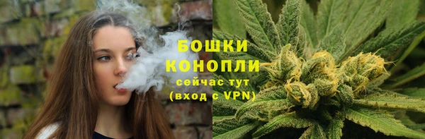 сатива Баксан