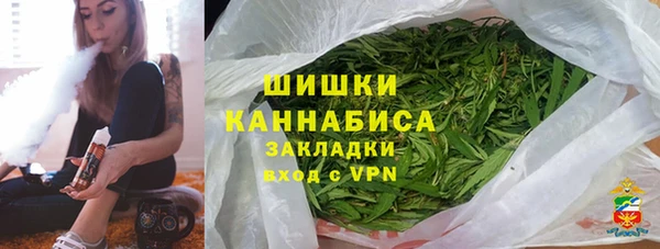 сатива Баксан